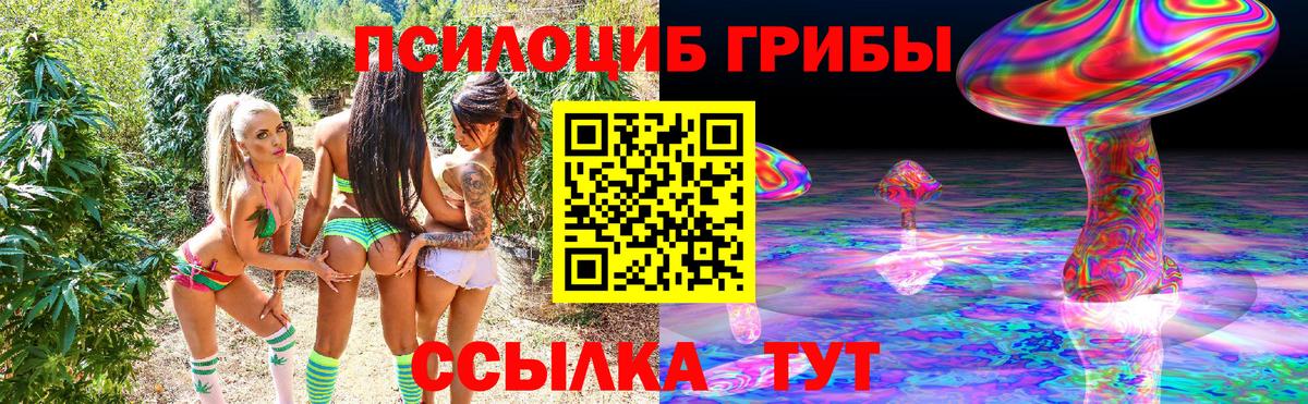 Галлюциногенные грибы GOLDEN TEACHER Ивантеевка
